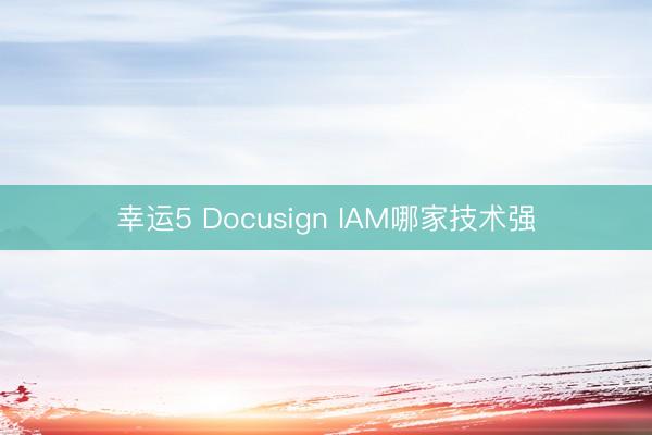 幸運5 Docusign IAM哪家技術(shù)強