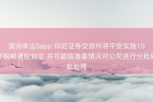 澳洲幸運(yùn)5app 印尼證券交游所將平安實施15%開脫暢通股劃定 并可能按準(zhǔn)備情況對公司進(jìn)行分批處理